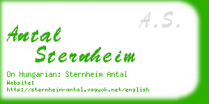 antal sternheim business card
